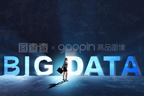 女商人的大数据概念