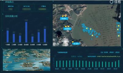 科技入海,大数据如何驱动渔业数字化发展?