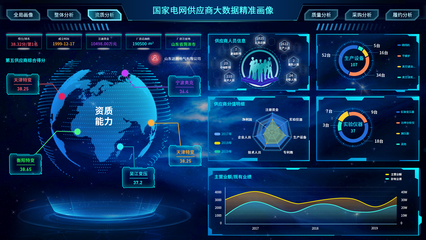 某电网供应商大数据可视化精准画像的应用与价值