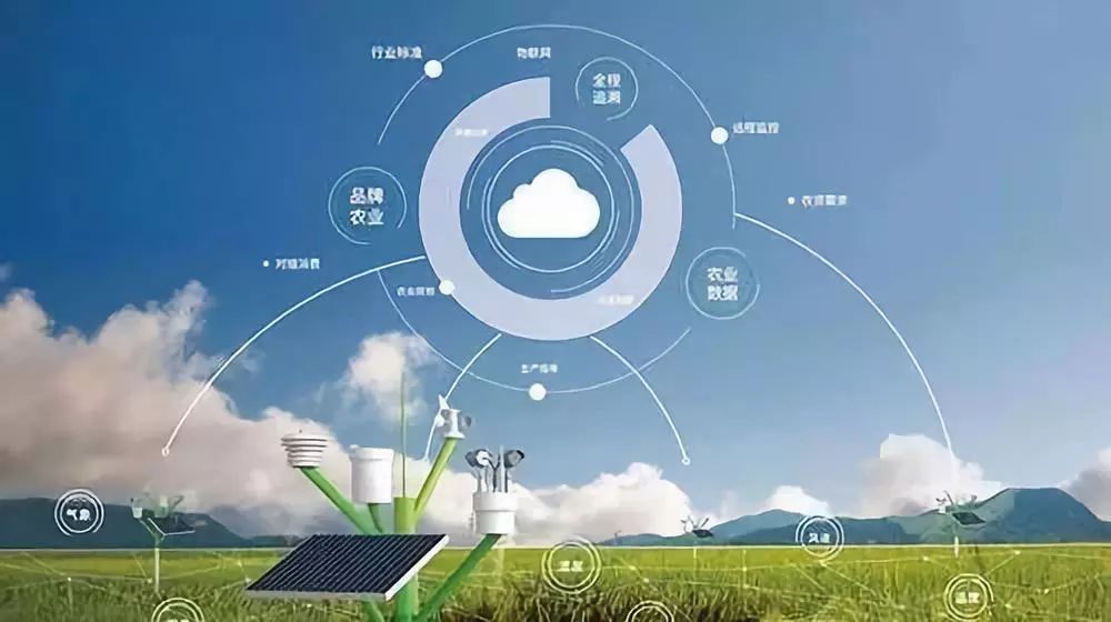 数据赋能，智慧兴农 大数据为乡村振兴注入新动能